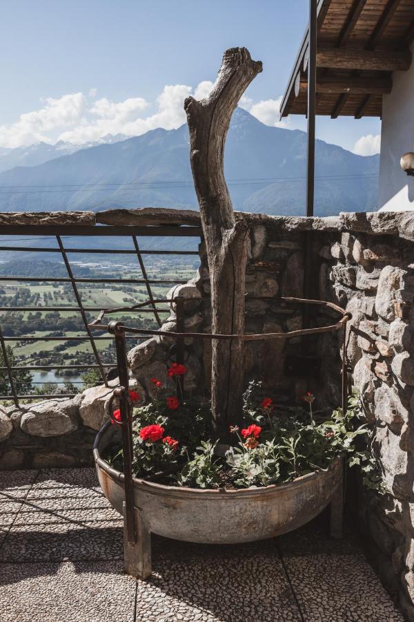 Appartamenti Montemezzo Le Case In Pietra Vista Lago Gera Lario Exterior photo